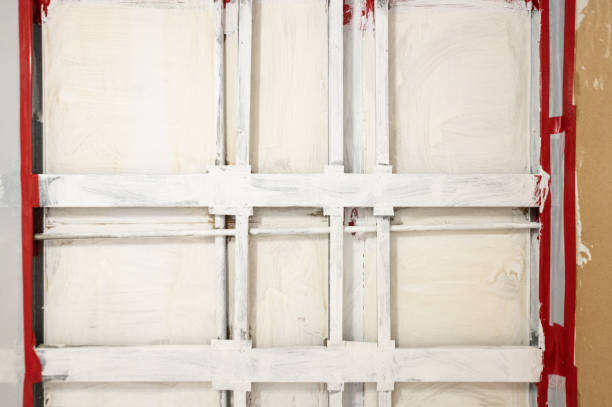 Best Asbestos and Lead Testing During Mold Inspection  in Bay City, MI