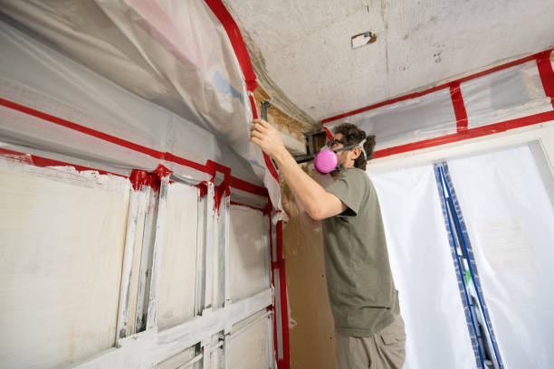 Best Mold Prevention Services  in Bay City, MI