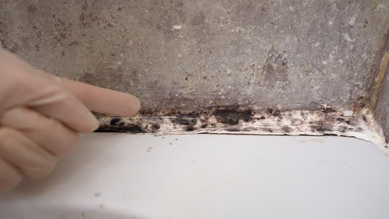 Best Post-Remediation Verification Testing  in Bay City, MI